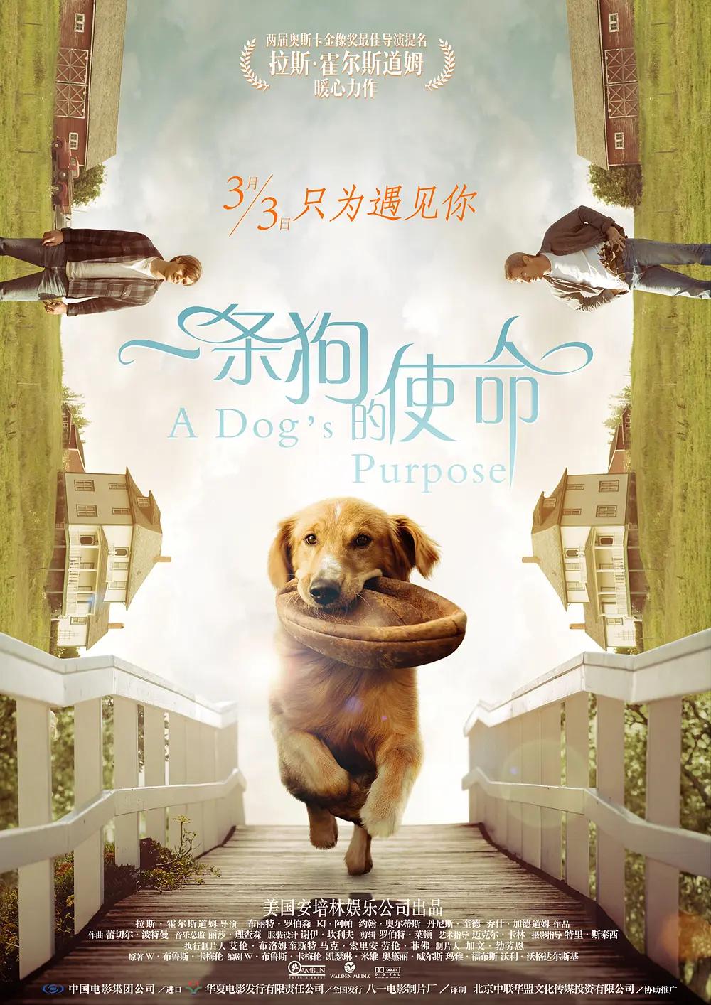 菠萝蜜视频高清在线视频播放(🎳)