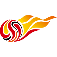 中超 大连英博海发vs成都蓉城20250808