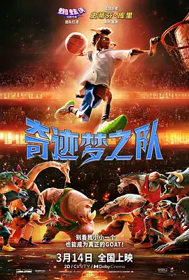 奇迹梦之队